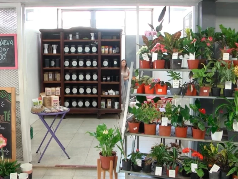 “Sabores de las Ferias” regresa con charlas, música y propuestas gastronómicas