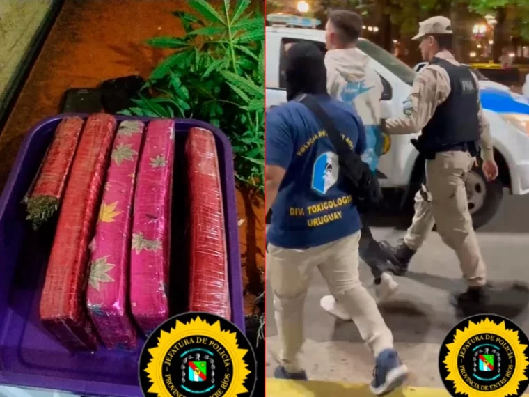 Siete detenidos y millonario secuestro de drogas tras operativo por narcotráfico en Entre Ríos
