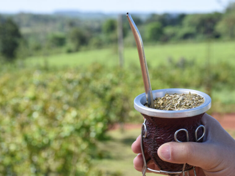 El Gobierno le prohibió al Instituto de la Yerba Mate intervenir en el mercado y fijar precios