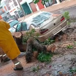 Temporal en Paraná: cayeron 90 milímetros, evacuaron una familia y el Municipio trabaja en diferentes zonas