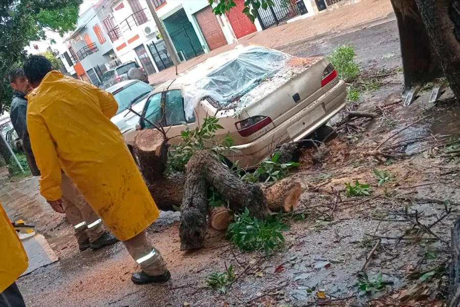 Temporal en Paraná: cayeron 90 milímetros, evacuaron una familia y el Municipio trabaja en diferentes zonas