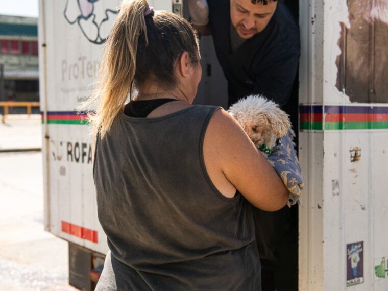 Continúan esta semana los operativos gratuitos de salud animal en barrios de Paraná