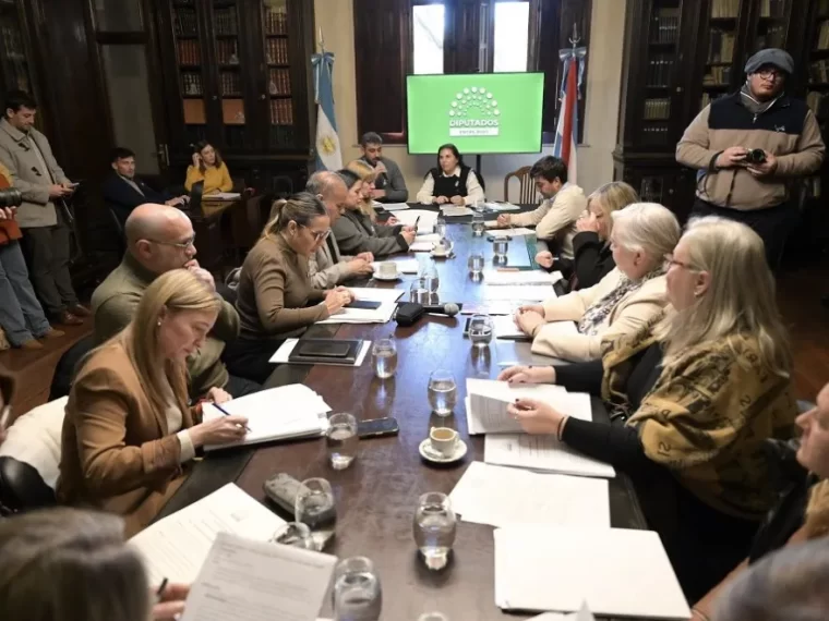 Diputados avanzaron en comisión en el marco procesal de Juicio Político