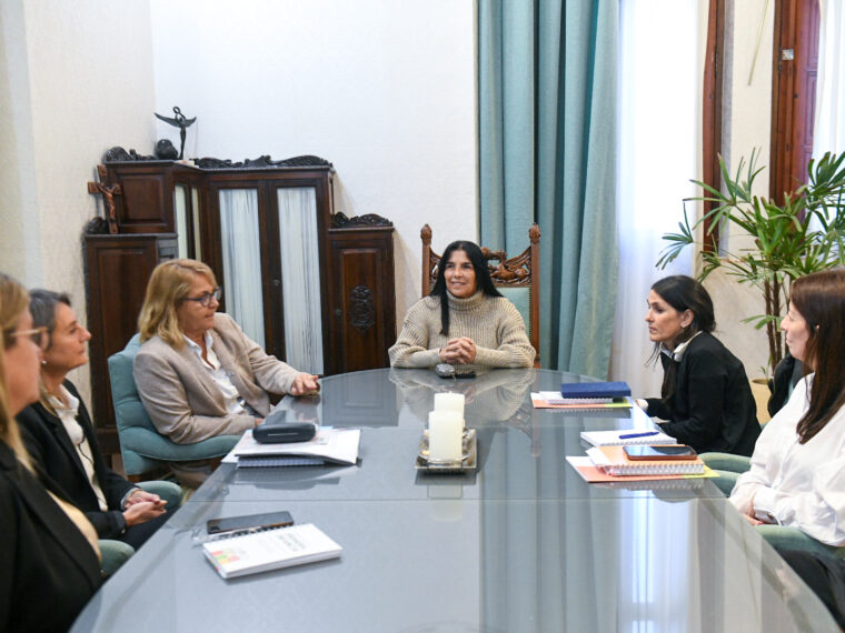 Primera infancia: coordinan acciones entre la Vicegobernación y el Superior Tribunal de Justicia