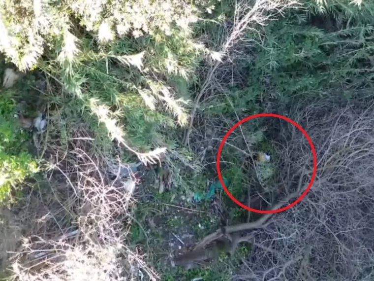 Con un drone persiguieron y lograron capturar a un delincuente prófugo en Paraná
