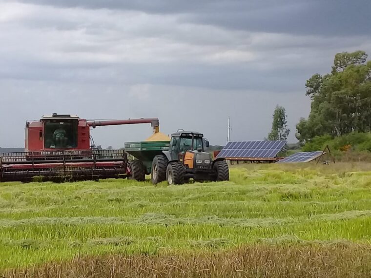 El Gobierno destacó que Entre Ríos es una de las provincias con mayor consumo de combustible El Gobierno destacó que Entre Ríos es una de las provincias con mayor consumo de combustible