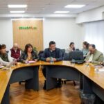 Senadores se reunieron en comisiones
