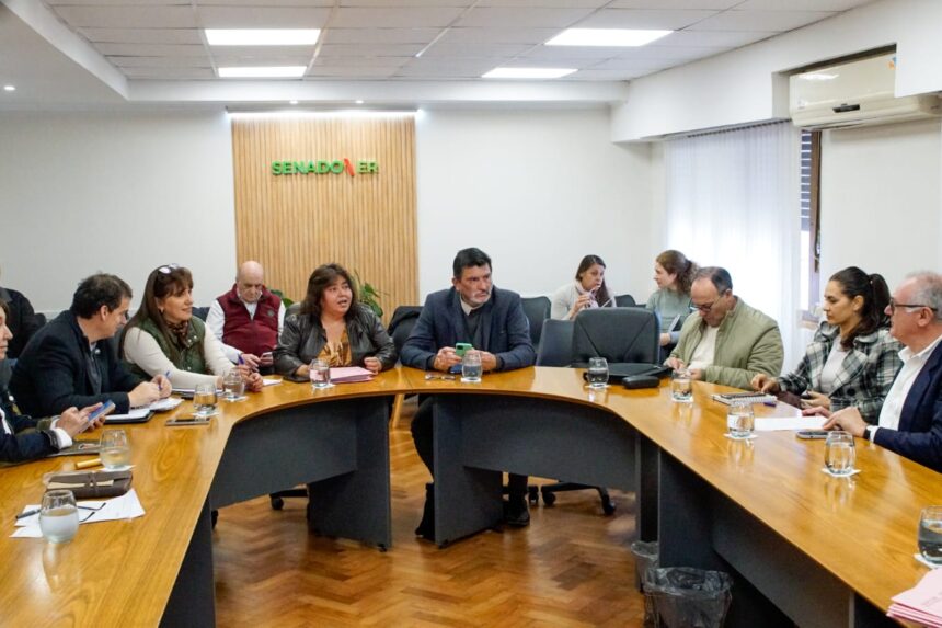 Senadores se reunieron en comisiones