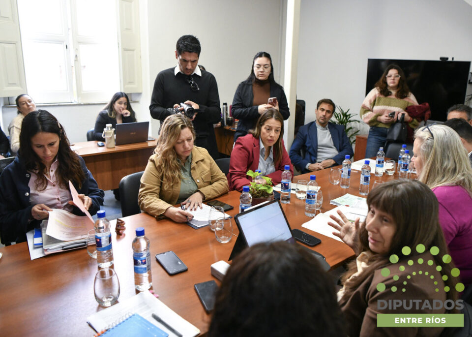 Diputados dictaminó a favor de un nuevo régimen de compras tecnológicas