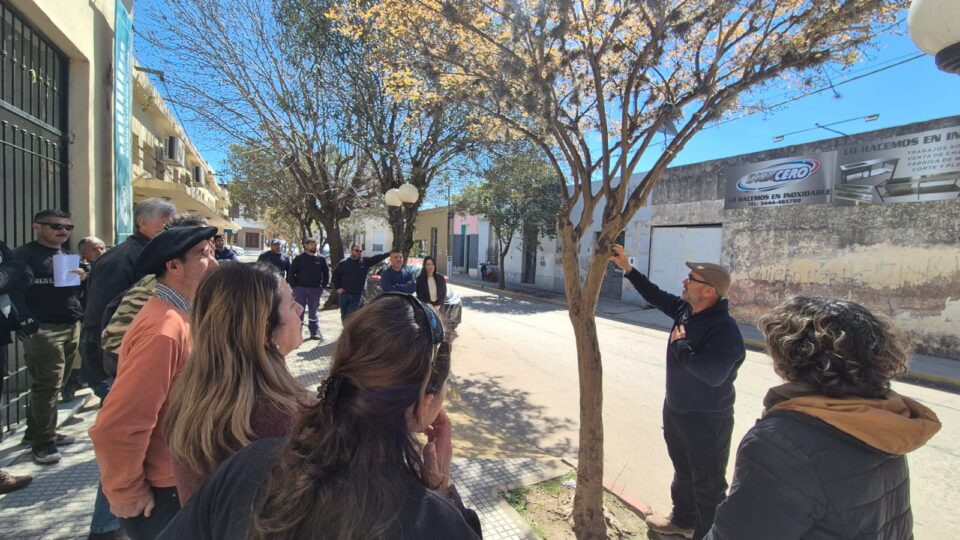 Enersa se capacita junto a municipios en gestión del arbolado urbano y redes eléctricas