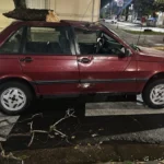 Un árbol cayó sobre un auto durante el temporal en Paraná