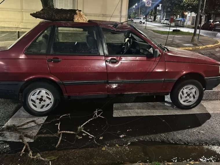 Un árbol cayó sobre un auto durante el temporal en Paraná Un árbol cayó sobre un auto durante el temporal en Paraná