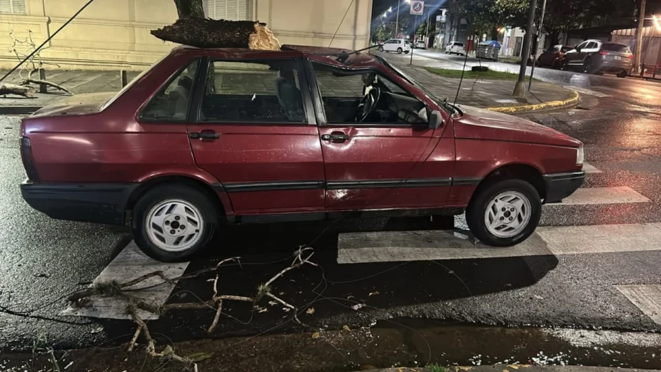 Un árbol cayó sobre un auto durante el temporal en Paraná