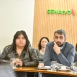 Comisiones del Senado volverán a abordar la media sanción de Diputados al proyecto de Ficha Limpia para Entre Ríos