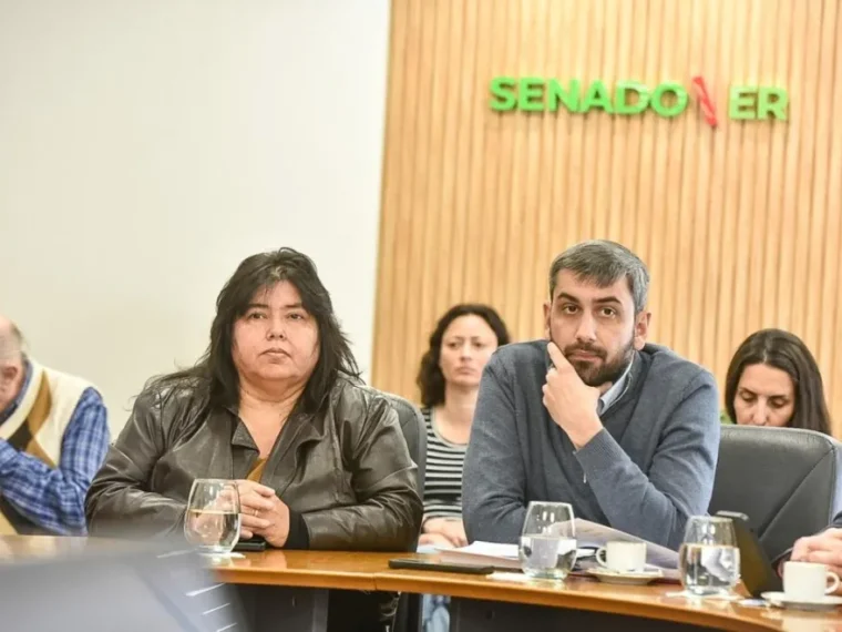 Comisiones del Senado volverán a abordar la media sanción de Diputados al proyecto de Ficha Limpia para Entre Ríos Comisiones del Senado volverán a abordar la media sanción de Diputados al proyecto de Ficha Limpia para Entre Ríos