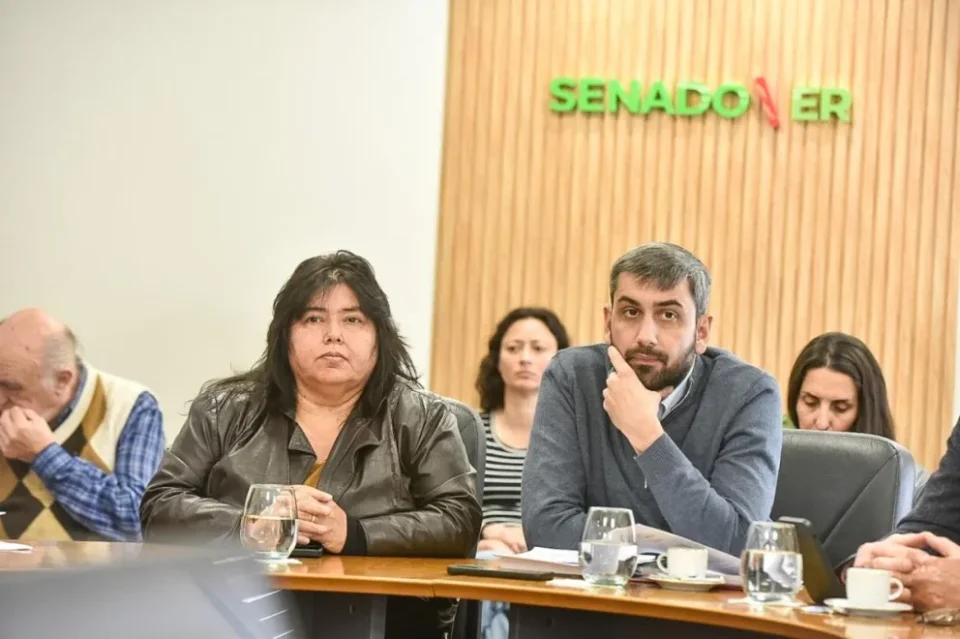 Comisiones del Senado volverán a abordar la media sanción de Diputados al proyecto de Ficha Limpia para Entre Ríos