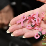 Octubre Rosa: Diputados ratificó su compromiso con la prevención del cáncer de mama