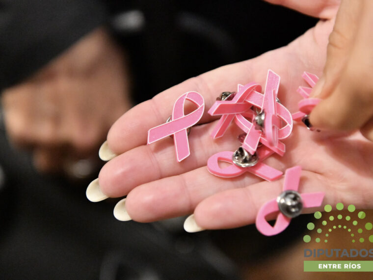 Octubre Rosa: Diputados ratificó su compromiso con la prevención del cáncer de mama Octubre Rosa: Diputados ratificó su compromiso con la prevención del cáncer de mama