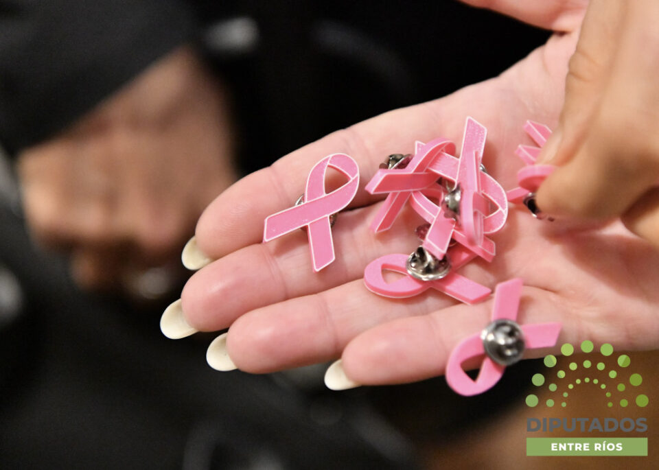 Octubre Rosa: Diputados ratificó su compromiso con la prevención del cáncer de mama