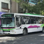 Transporte urbano: se dieron a conocer los detalles de nuevas líneas y recorridos