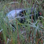 Conductor despistó de madrugada en el Acceso Norte