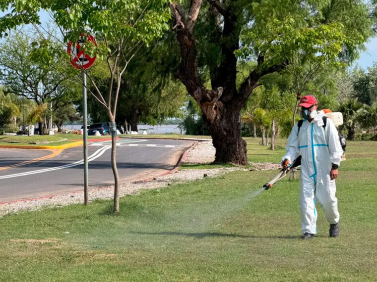 Fumigan en el Balneario Thompson y otras zonas de Paraná Fumigan en el Balneario Thompson y otras zonas de Paraná