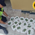 Secuestraron más de 38.000 pastillas ocultas en un auto en la Ruta 14