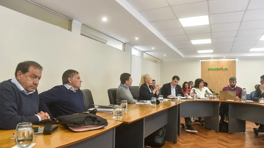 Ética Publica: el proyecto obtuvo dictamen favorable este miércoles